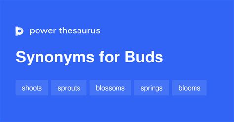 bud synonym|other words for grandmother.